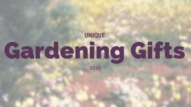 Photo of 19 Unique Gardening Gifts Ideas