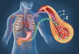 Photo of Which hormone deficiency is responsible for diabetes mellitus?