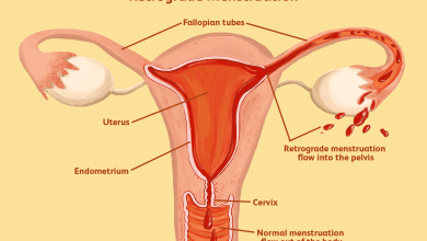 Photo of What is implantation in pregnancy