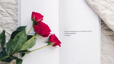 Photo of Roses are the symbol of love and prosperity since decades