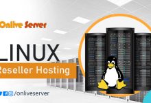 Photo of Linux Reseller Hosting Features You Must Know Before You Buy