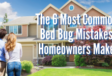 Photo of 6 Most Common Bed Bug Mistakes Homeowners Make