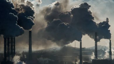 Photo of Air Pollution; Causes and Prevention