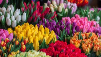 Photo of Fabulous Uses of Flowers that Surely Surprise You