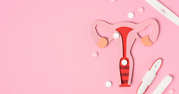 Photo of Female Cycle – Periods and Menstruation