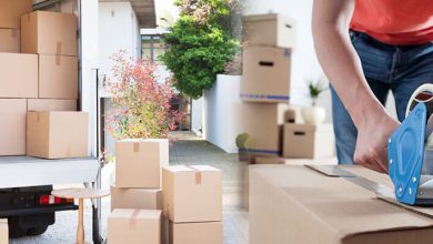 Photo of Moving to Adelaide, SA? Here’s Your Guide to the City