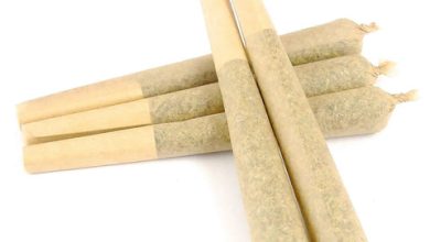 Photo of How Many Kinds of Pre Roll Joints?