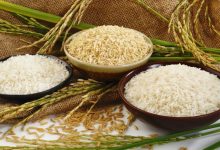 Photo of Prospects Of Rice Wholesalers in India