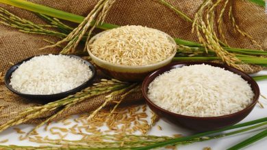 Photo of Prospects Of Rice Wholesalers in India