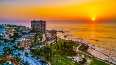 Photo of Top 10 Best Beaches in San Diego To Visit