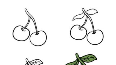 Photo of Instructions to Draw A Cherry – A Bit by bit Guide
