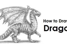 Photo of The Most Effective Process to Draw a Dragon