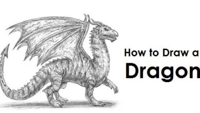 Photo of The Most Effective Process to Draw a Dragon