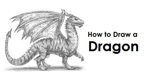 Photo of The Most Effective Process to Draw a Dragon