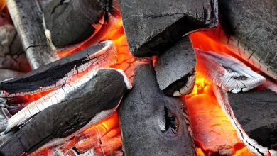 Photo of How To Make Charcoal In Minecraft Wood ?
