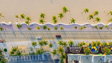 Photo of Top 8 Attractions in Miami