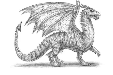 drawing of a dragon