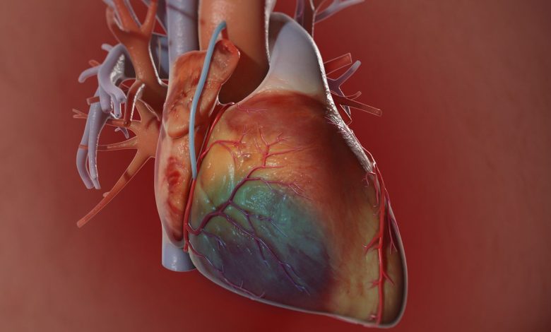 Photo of How can Heart Bypass Surgery treat Heart Problems?