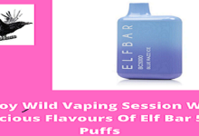 Photo of Enjoy Wild Vaping Session With Delicious Flavours Of Elf Bar 5000 Puffs