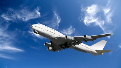Photo of What You Should Know About American Airlines Baggage Policy