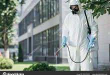 Photo of Pest Control Is Easy With These Great Tips