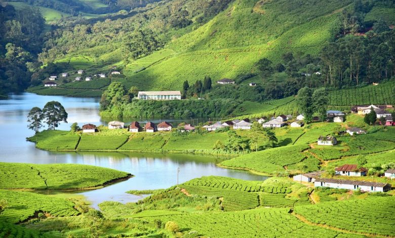 Photo of 8 Beautiful Honeymoon Places In Munnar To Enjoy The Peace And Privacy