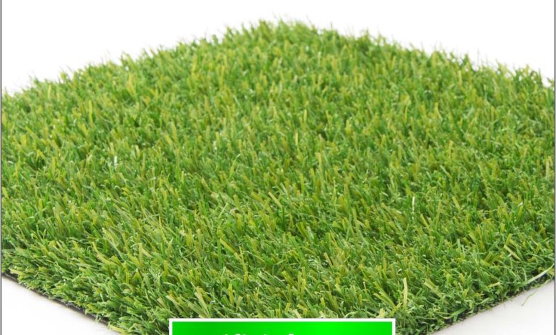 Photo of Advantages And Disadvantages of Artificial Grass
